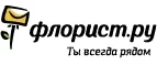 Флорист.ру: Магазины цветов Курска: официальные сайты, адреса, акции и скидки, недорогие букеты
